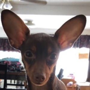 Meet your Posher, Stephanie